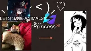 OOT AND MM RANDOMIZER FOR CHARITY AND SANITY !