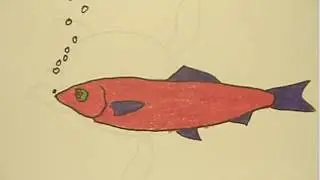 A Day at the Aquarium, animated at the Edwards Middle School