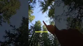 Это была ошибка #starlink #internet #vanlife #rv