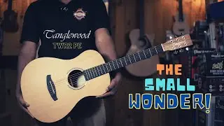 A Small but Wonderful Guitar | Tanglewood TWR2-PE Review | Parlor Size