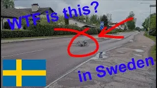 Eight-legged dog! In Sweden!?