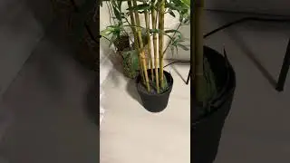 HONEST REVIEW Amazon Basics Artificial Fake Bamboo Plant