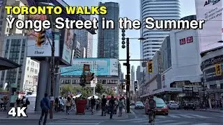 Yonge Street in the Summer - Downtown Toronto Walk  [4K]