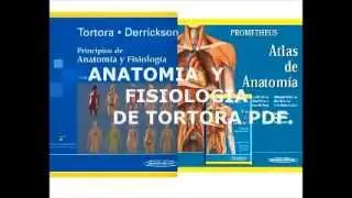 ANATOMIA Y FISIOLOGIA TORTORA -DERRICKSON PDF 13 &ordm; EDICI&Oacute;N.