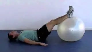 LowBack Flexion BallExercise