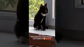 Maryssya's childhood 😄🍓🍓🍓 #funny #cat #relax #любовь #цитатыпрожизнь #юмор