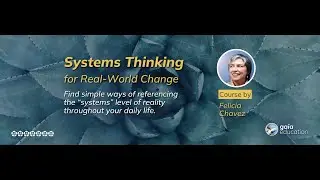 Systems Thinking Course on Gaia Education - Preview