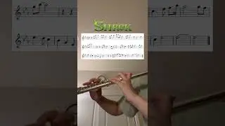 Shrek - Fairytale (Flute cover)