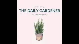February 12, 2021 Organizing the Garden Shed, Jan Swammerdam, George Jackman, Walking Through...