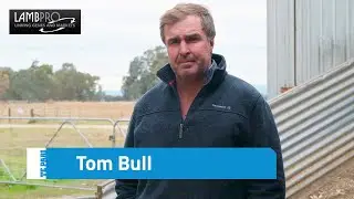 20 лет работы с овцеводами Racewell Sheep Handler | Том Булл