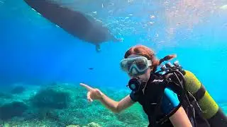 Tra onde e luce: il primo abbraccio del mare..