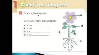 Science-grade3(Check your progress)