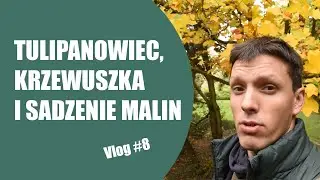 Vlog ogrodniczy #8/ Liście, krzewuszka, tulipanowiec i maliny