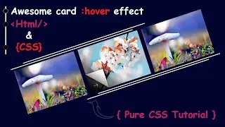 CSS Card Hover Effects -- Pure css tutorial  |Web Tutorials