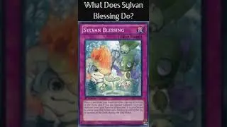 What Does Sylvan Blessing Do? (Yugioh Cards Explained for Easy Deck Building)