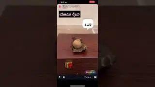 معلومات مبسّطة عن مسك الغزال | #عائلة_الطيب | #أبو_عبدالملك_المطيري
