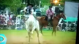 Campereadas de chino alves y jhona vergara