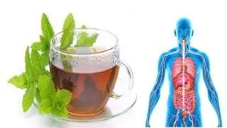 See What Happen To Your Body When You Drink Peppermint Tea Every Day