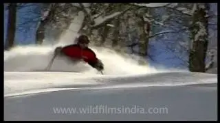 Heli skiing excitement in the Himalayas!