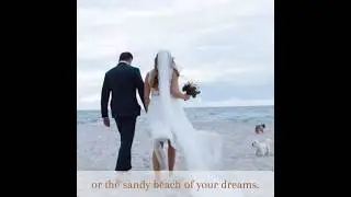 Bridal Gown Cleaning | Reviva Luxury Garment Care  #wedding #gowncleaning