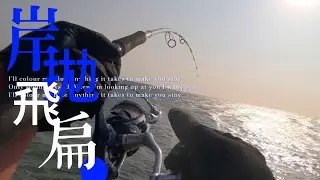 飛扁除三害#岸拋#岸拋飛扁#釣魚