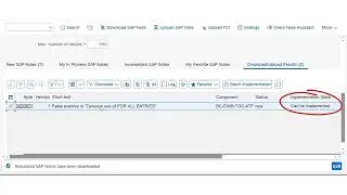 Apply SAP Note - SAP Note Tutorial for S/4 HANA (2024)