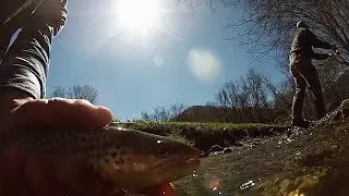 Stream Trout Fishing with Underwater GoPro Footage