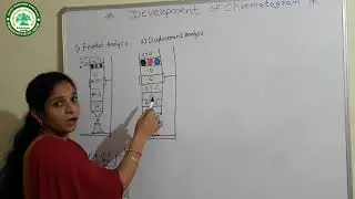 M.Sc.-2||ANALYTICAL CHEMISTRY ||  DEVELOPMENT OF CHROMATOGRAM  - PART-2||PROF.R.S.PAWAR