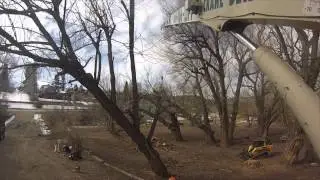 BIG TWIG Hazard Removal Timelapse