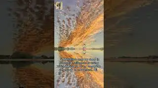 Guided Meditation-Daily Best Meditation Quotes