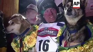 Former Iditarod Champion Denies Doping Dogs