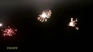 FJS100W Веер 1.2