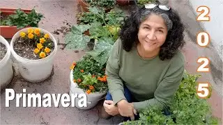 HUERTO, labores de PRIMAVERA para una BUENA COSECHA