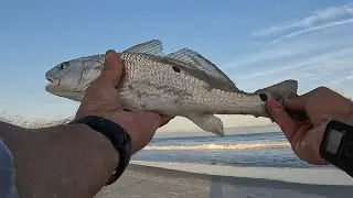 Surf Fishing October 1st North Litchfield Beach SC
