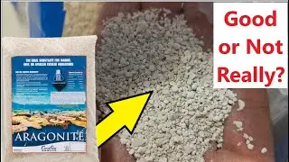 Here's What You Need To Know Before Adding Aragonite Sand to Your Aquarium