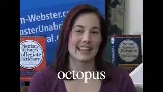 Octopus  Kory Stamper Merriam Webster Ask the Editor