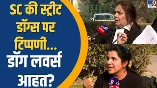 Supreme Court की Stray Dogs पर टिप्पणी...Dog Lovers आहत? | Supreme Court on Dogs | TV9 Ground Report