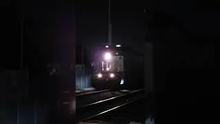 Rare Dash 8 510 on the Amtrak Pacific Surfliner! #amtrak #railcrossing #dash8 #amtraktrain #shorts