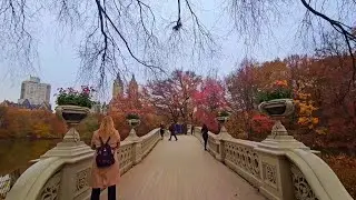 The magic of Autumn KefamC