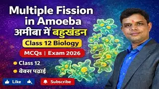 Multiple Fission in Amoeba  | Class 12 Biology | Exam 2026 | Prof. Ranjeet Kr. Yadav