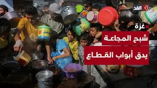 منظمات الإغاثة الدولية تحذر من وقوع مجاعة في غزة جراء الحصار الإسرائيلي المستمر على القطاع
