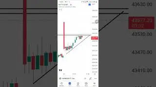 Bank Nifty Expiry Dhamaka Setup #optiontrading #priceaction #trader #intradaytrading #stockmarket