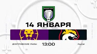 Днепровские львы - Рыси | 14.01.2026 | Высшая лига | Прямая трансляция