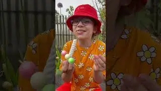 Зефир или жевачка? #подпишись