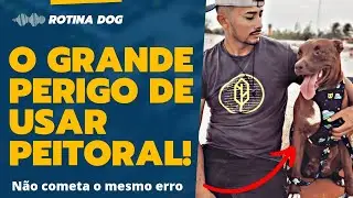 NÃO USE PEITORAL NO SEU CÃO! | Rotina Dog