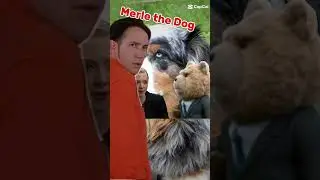 MERLE #funny