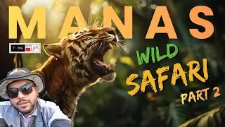 MANAS ll Глава 2 ll Дикое сафари в национальном парке Манас #assam #manasnationalpark
