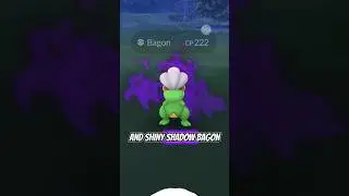 New Shiny Shadow Pok&eacute;mon From Team Rocket Leaders In Pok&eacute;mon GO! #pokemongo