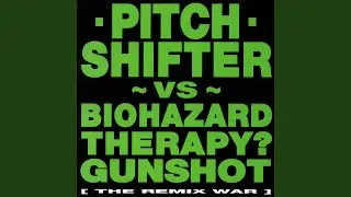 To Die Is Gain (Pitchshifter Remix)