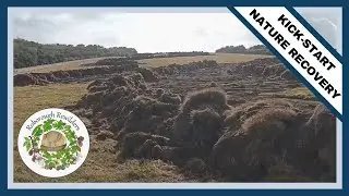 Greencliff Farm - North Devon Coast - Rewilding Project